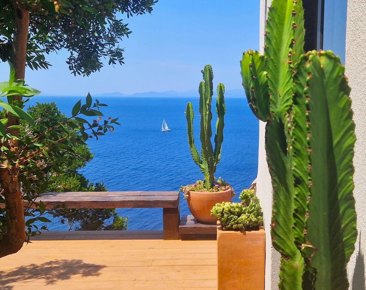 Terrasse du lodge L'Hippocampe plantée de cactus face à la mer, île du Levant